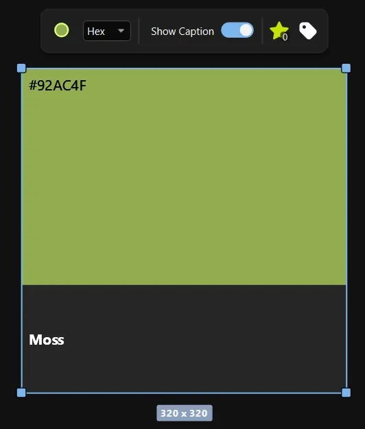 Color swatch item